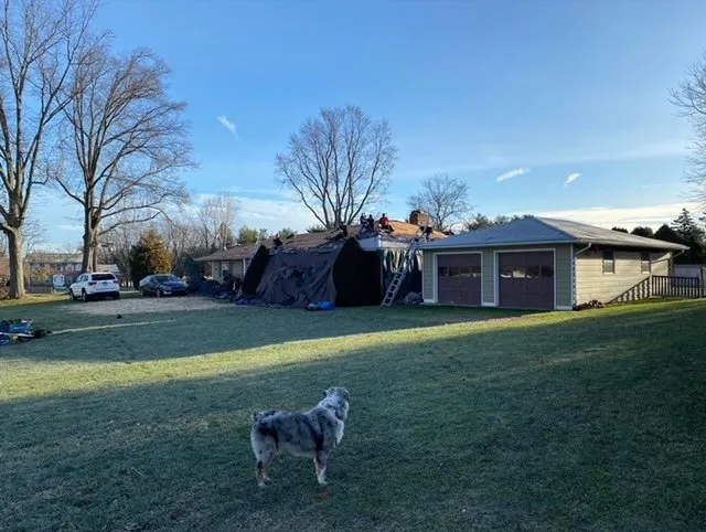 Slide of Velvet Crown Restoration
