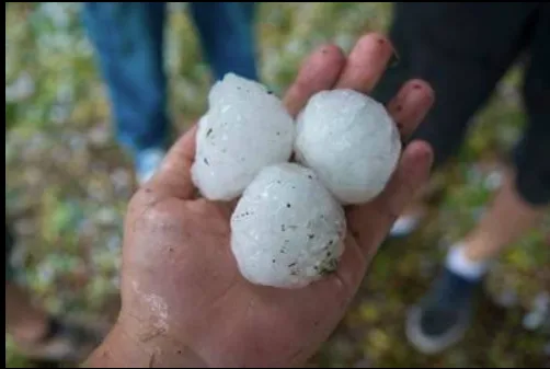 Venture Construction Group of Florida