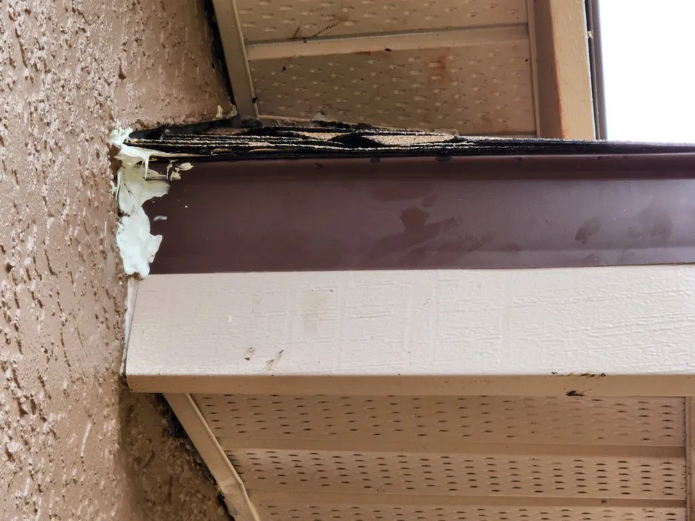 Slide of Veritas Roofers