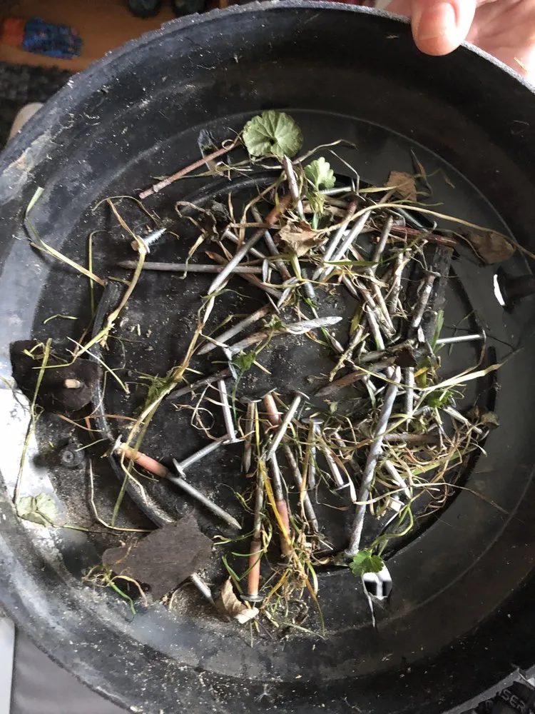 Slide of Vertex Restoration