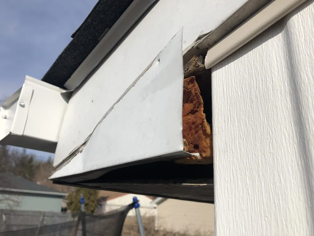 Slide of Vertex Restoration