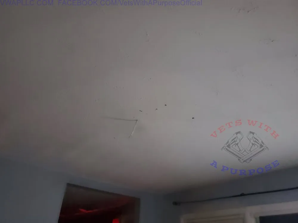 Slide of Vets With A Purpose