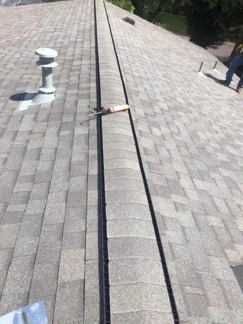 Slide of Vick's Tree Experts