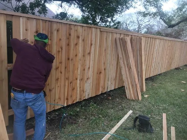 Slide of Vick's Tree Experts