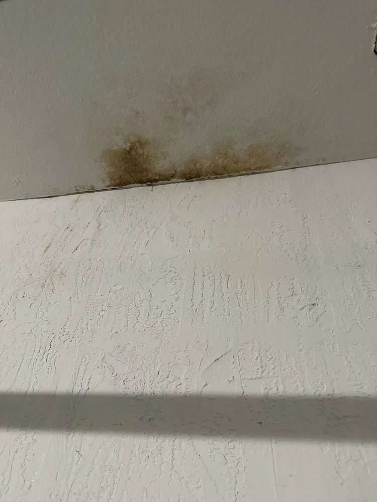 Slide of Victoria Roofing