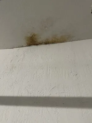 Victoria Roofing Logo