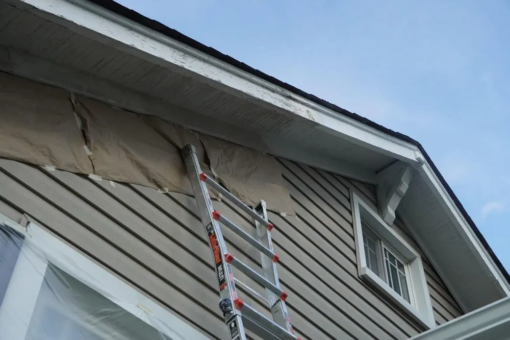 Slide of Victorious Paints