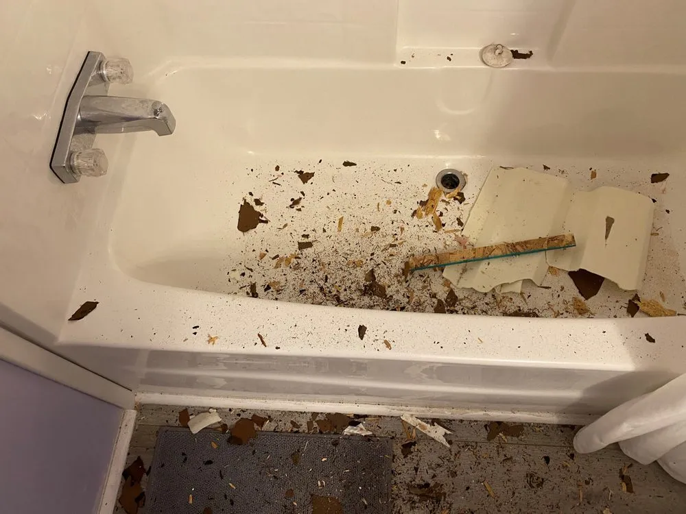 Slide of Victors Home Solutions