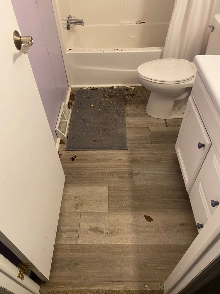 Slide of Victors Home Solutions