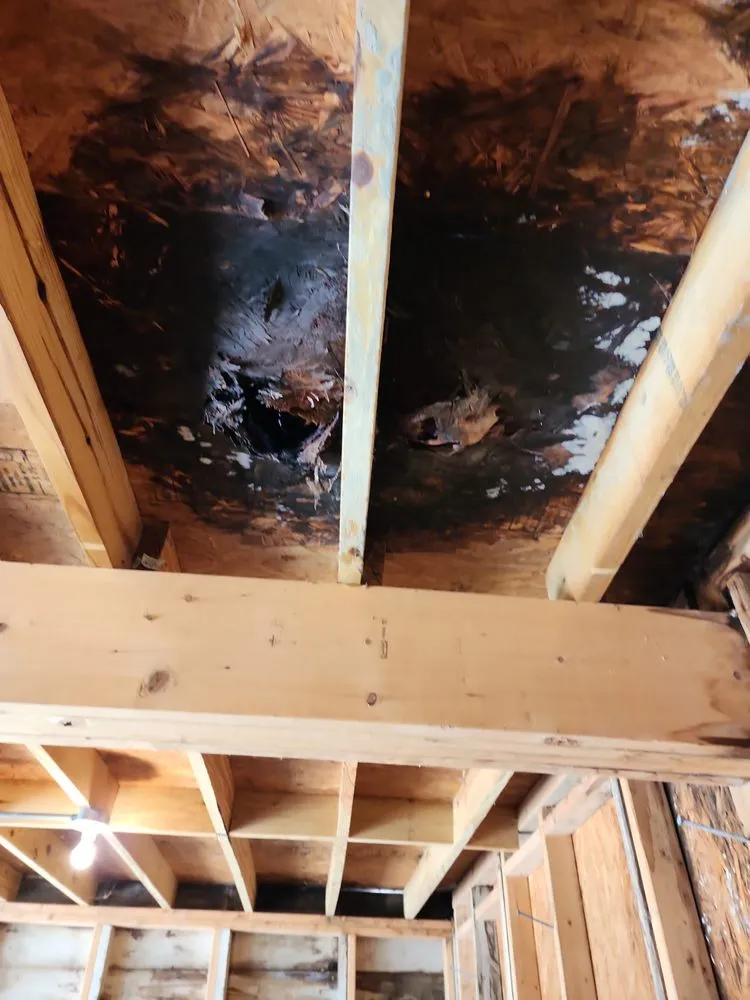 Slide of Victory Roofing and Restoration