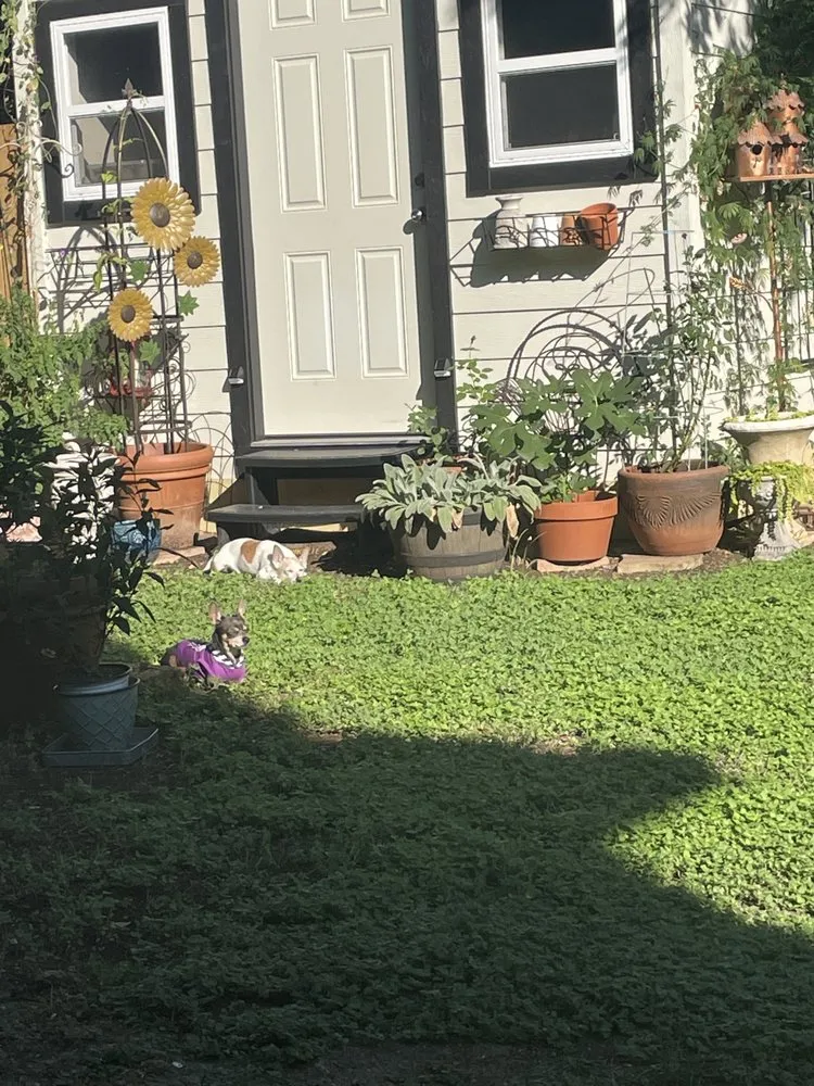 Slide of Vida Contractors Texas