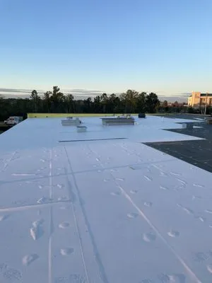 Vigilante & Family Roofing Services Logo