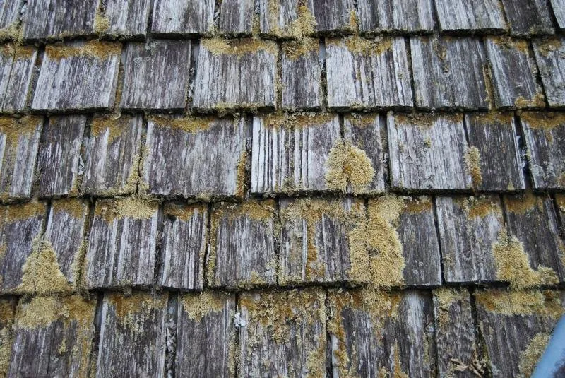 Slide of Viking Home Renovations