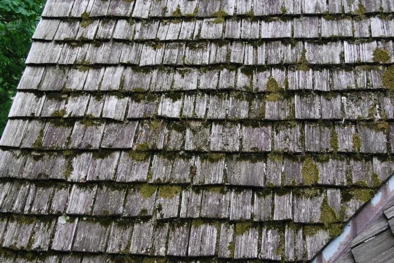 Slide of Viking Home Renovations