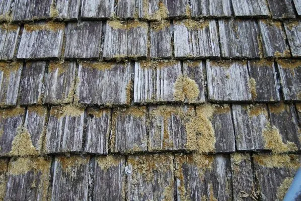 Viking Home Renovations