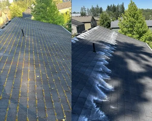 Viking Home Services