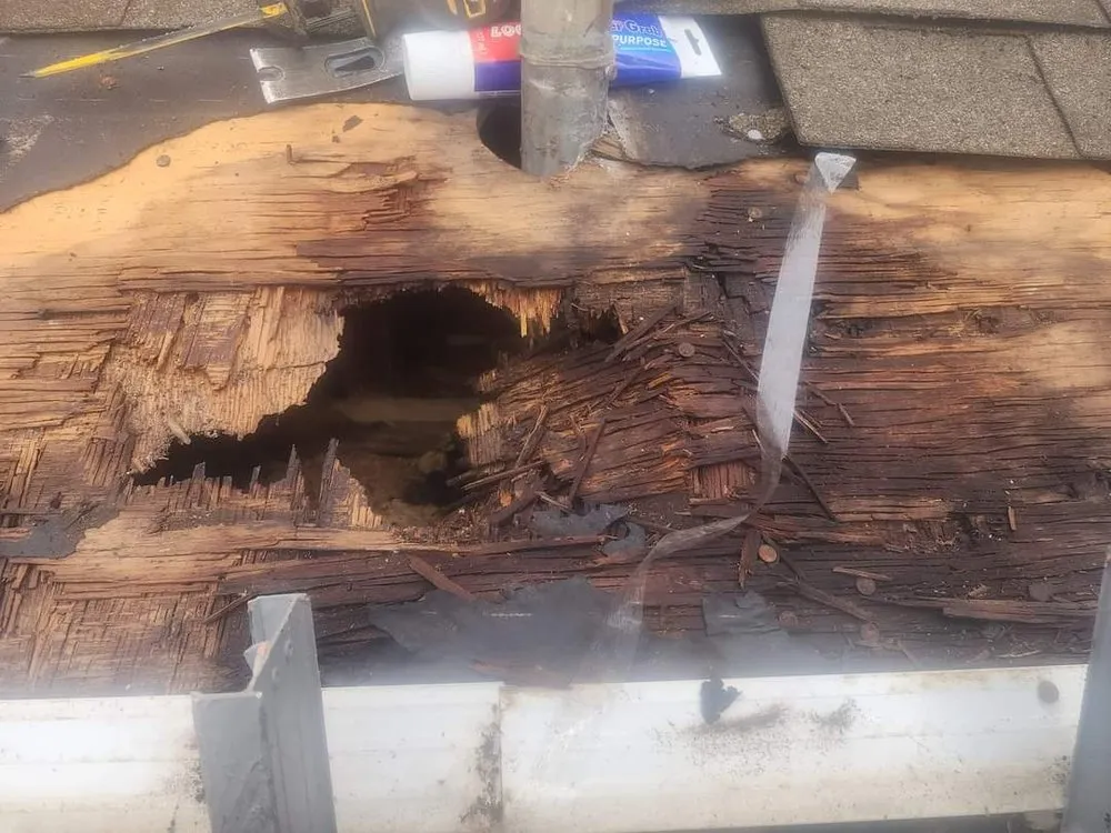 Slide of Viking Renovations