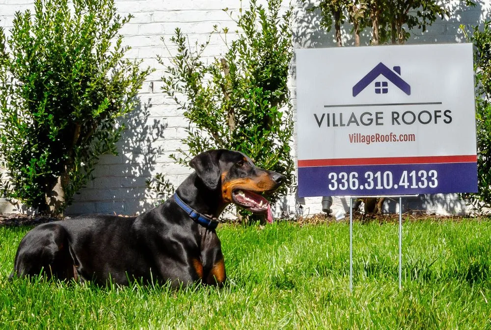 Slide of Village Roofs
