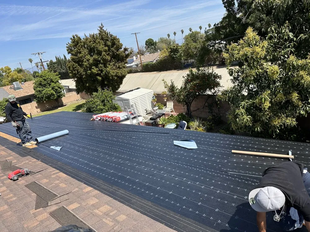 Slide of Villegas Painting