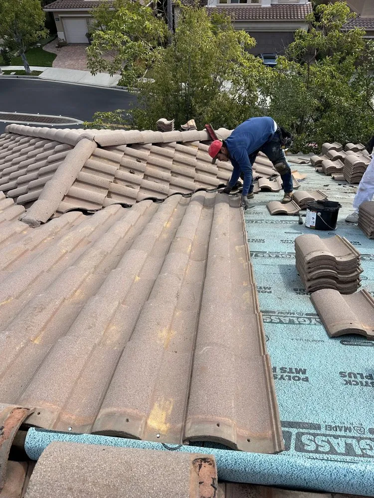 Slide of Villegas Painting