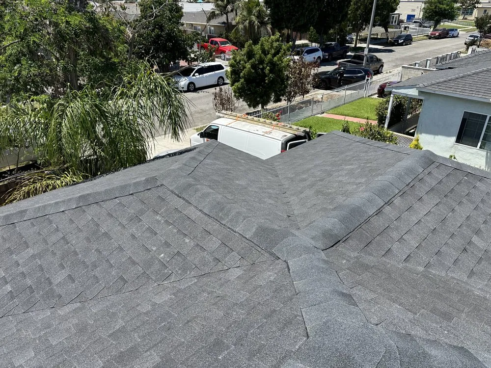 Slide of Villegas Painting