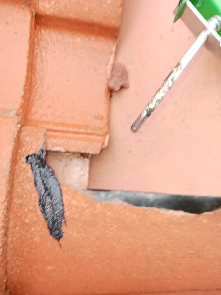 Slide of Vilma Barcenes  Cleaning Services