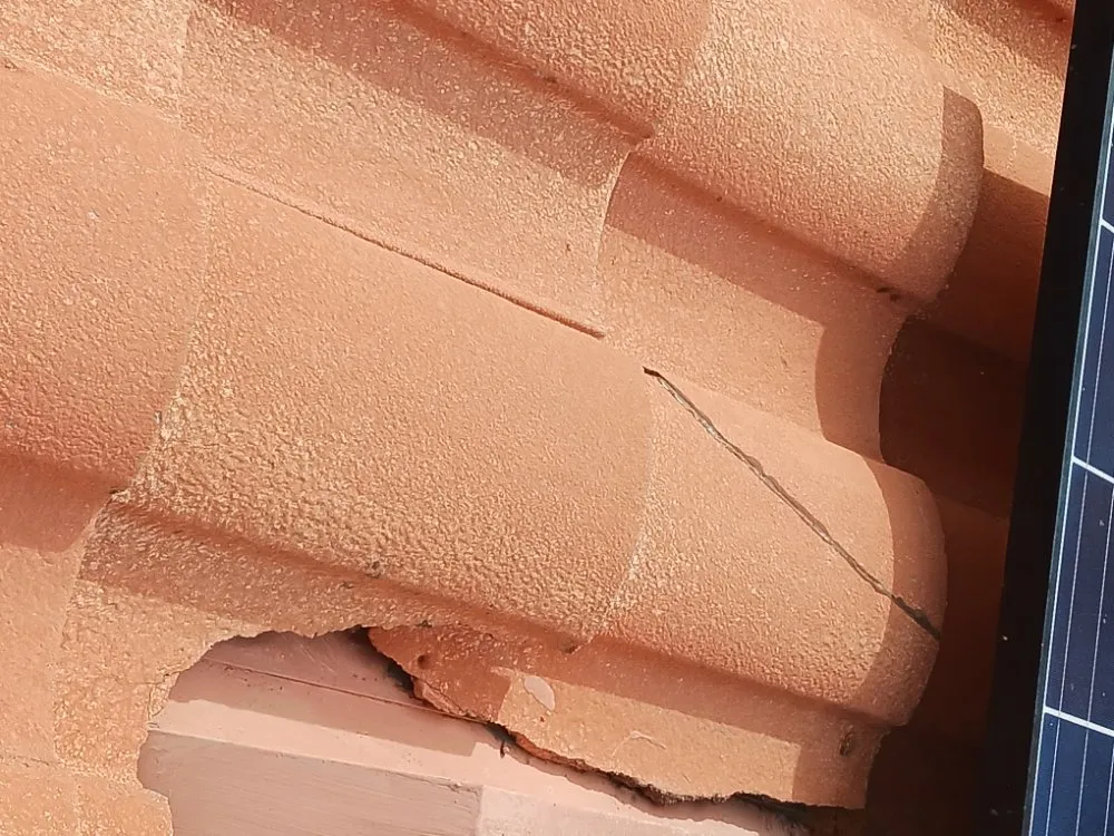 Slide of Vilma Barcenes  Cleaning Services