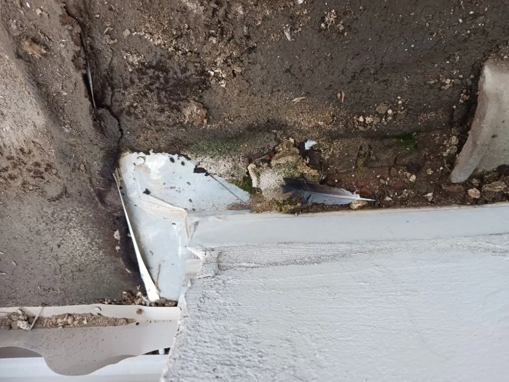 Slide of Vilma Barcenes  Cleaning Services