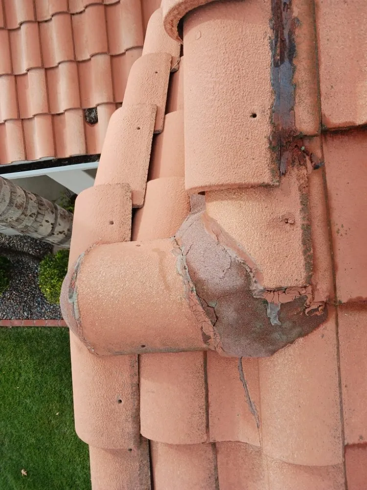 Slide of Vilma Barcenes  Cleaning Services