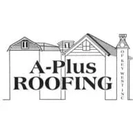 Slide of Vincent A Scardina