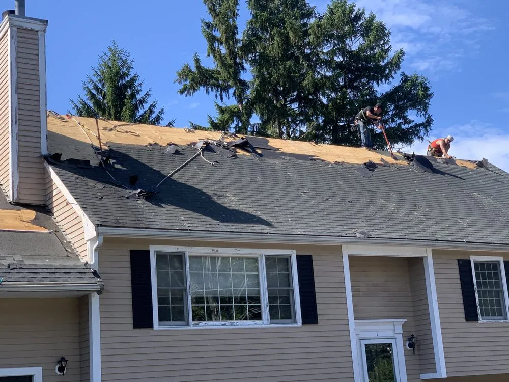 Slide of Vinnys Construction