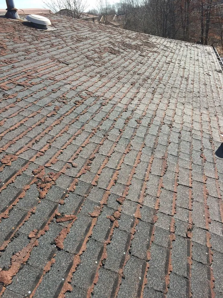 Slide of Vinny's Roofing & Home Improvement