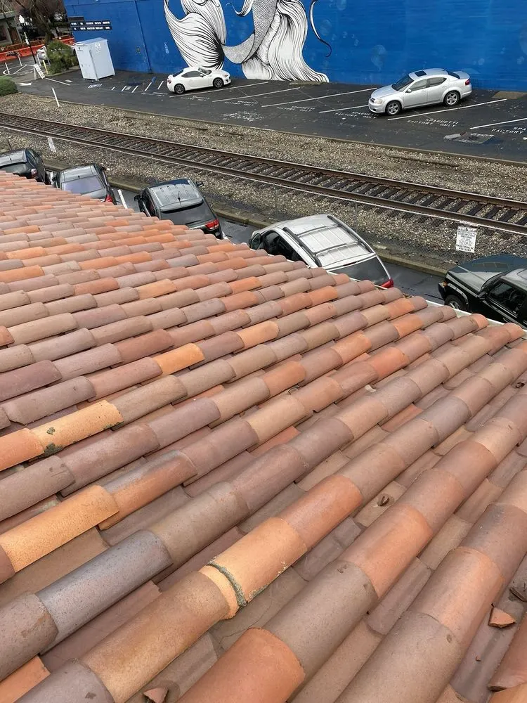 Slide of Vintage Roof Tile