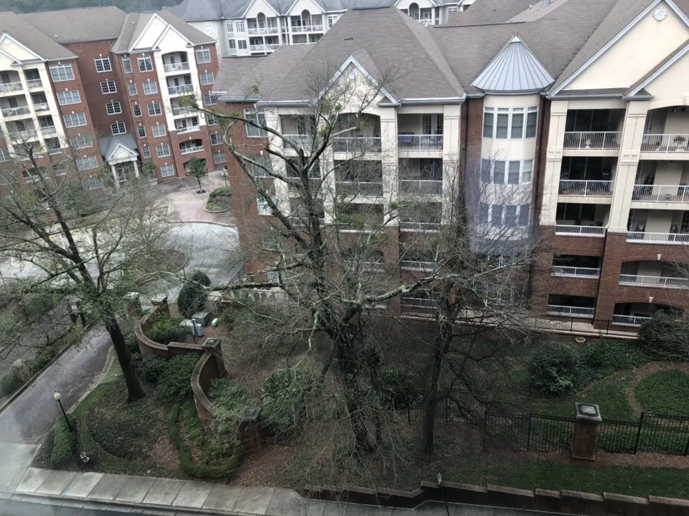 Slide of VIP Property Damage