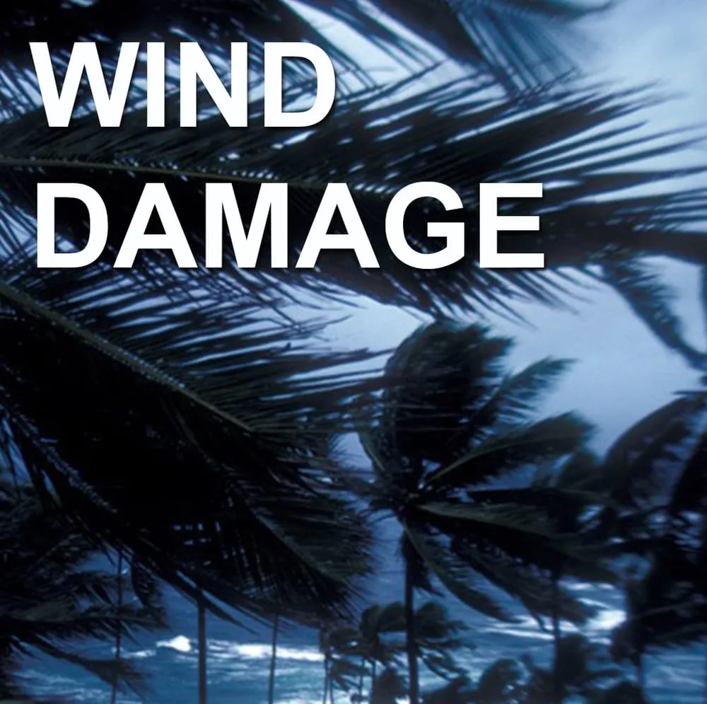 Slide of VIP Roofing Services