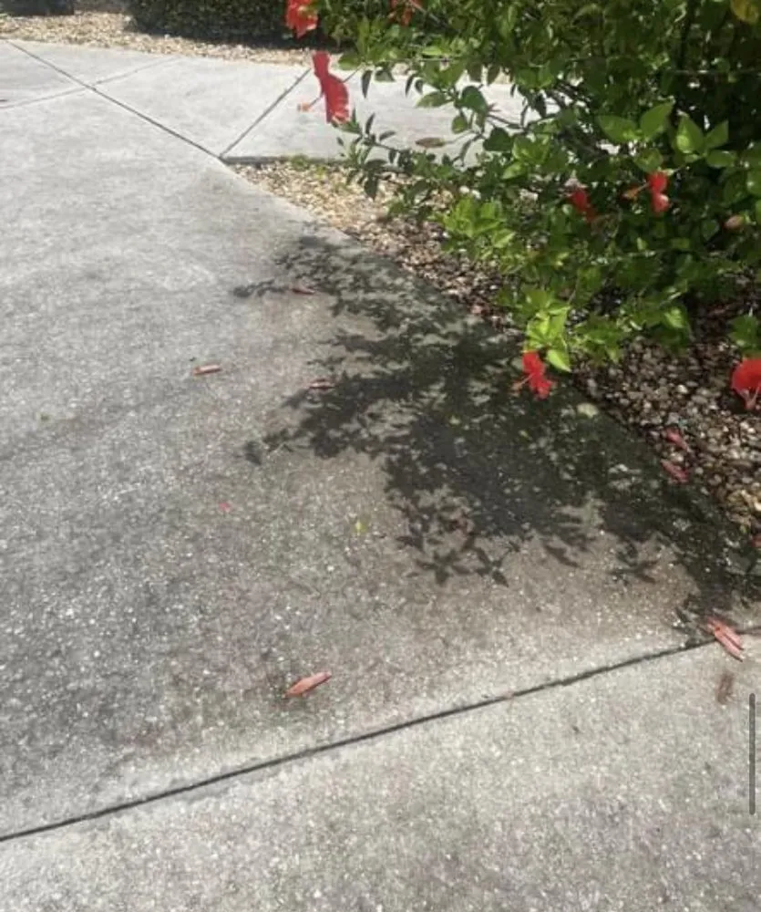 Slide of Virtuous Soft Wash