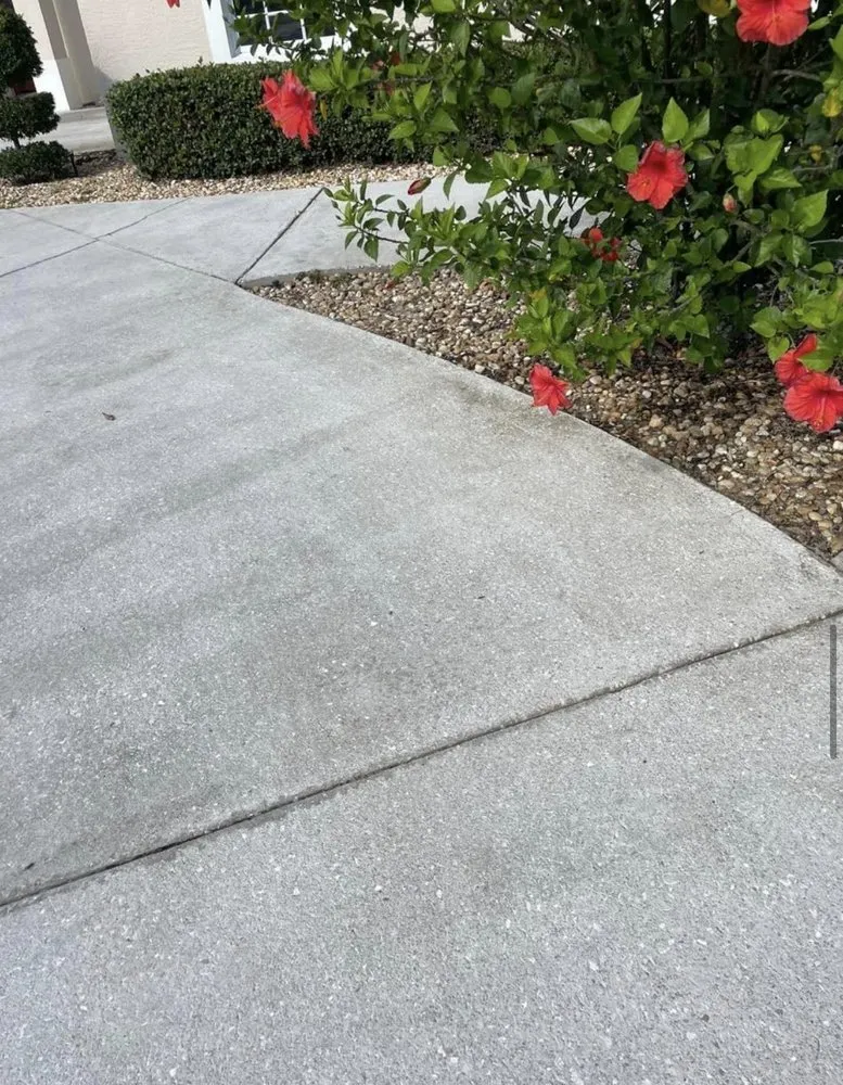 Slide of Virtuous Soft Wash