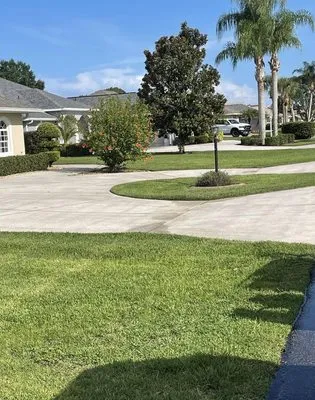 Virtuous Soft Wash Logo