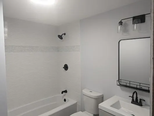 Vision Construction and Remodeling