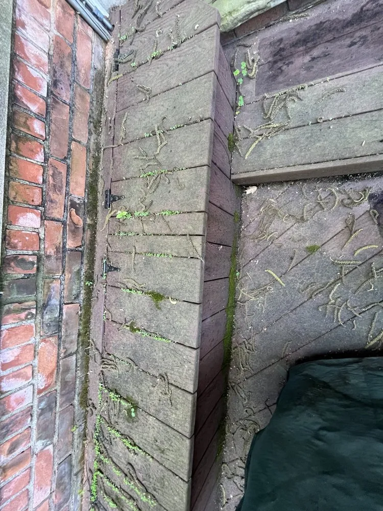 Slide of Vision Works Exterior