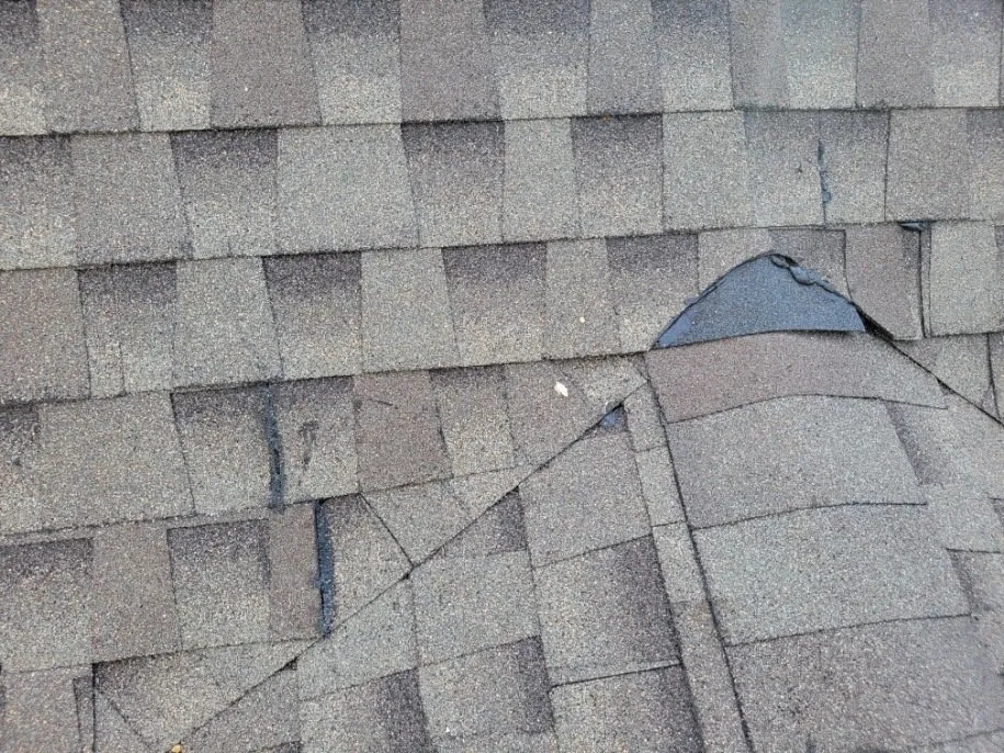 Slide of Visionaire Construction