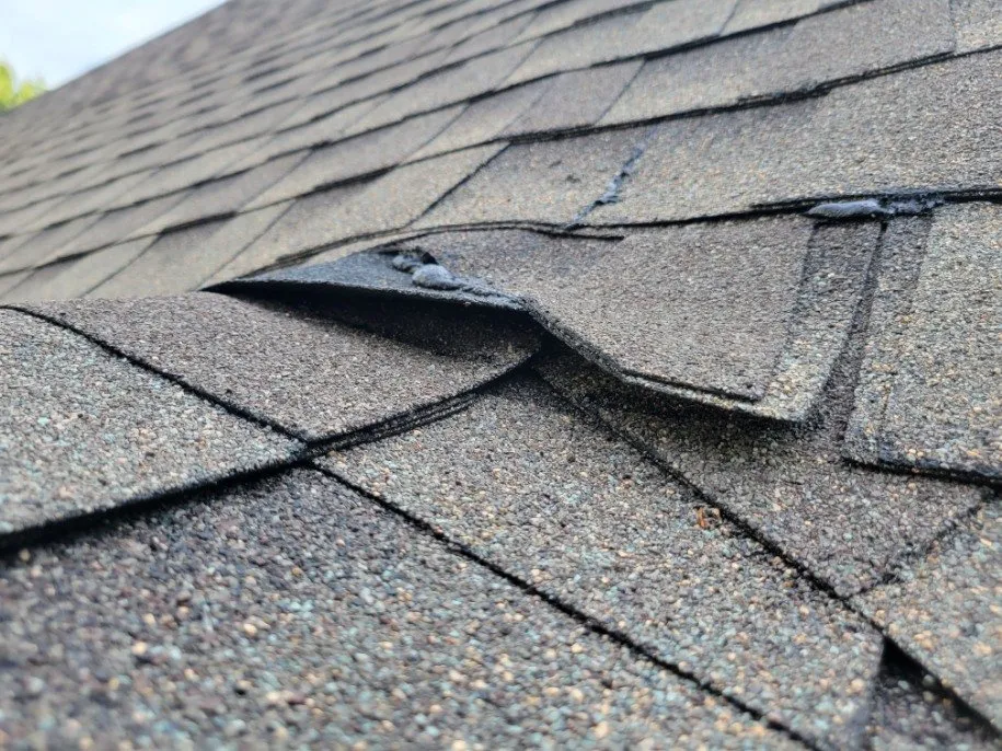 Slide of Visionaire Construction