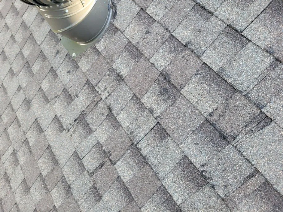 Slide of Visionaire Construction