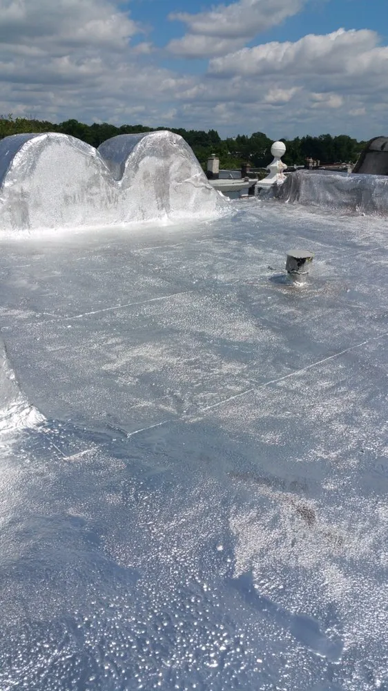 Slide of Visionary Roofing The Coating Specialists