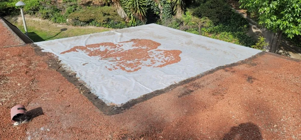 Slide of Visions Construction