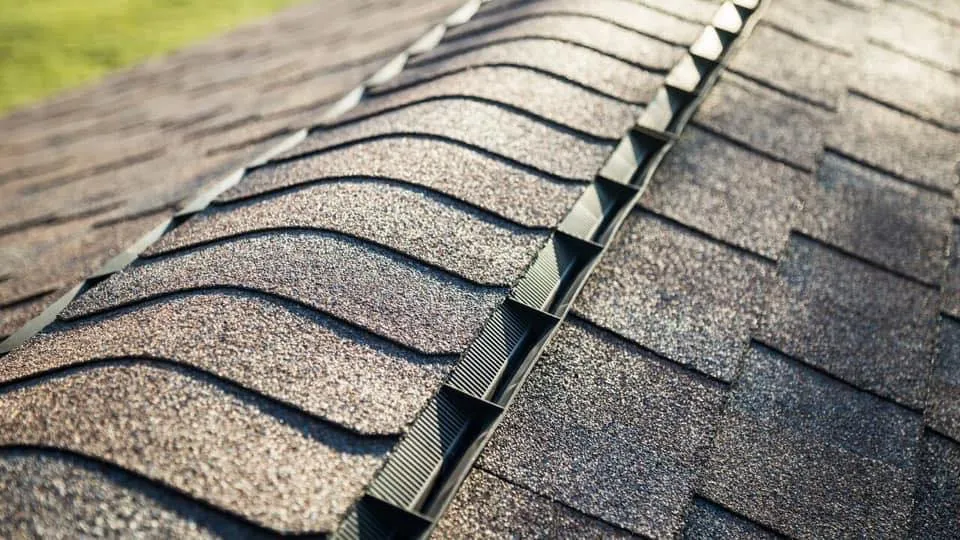 Slide of Vitality Roofing