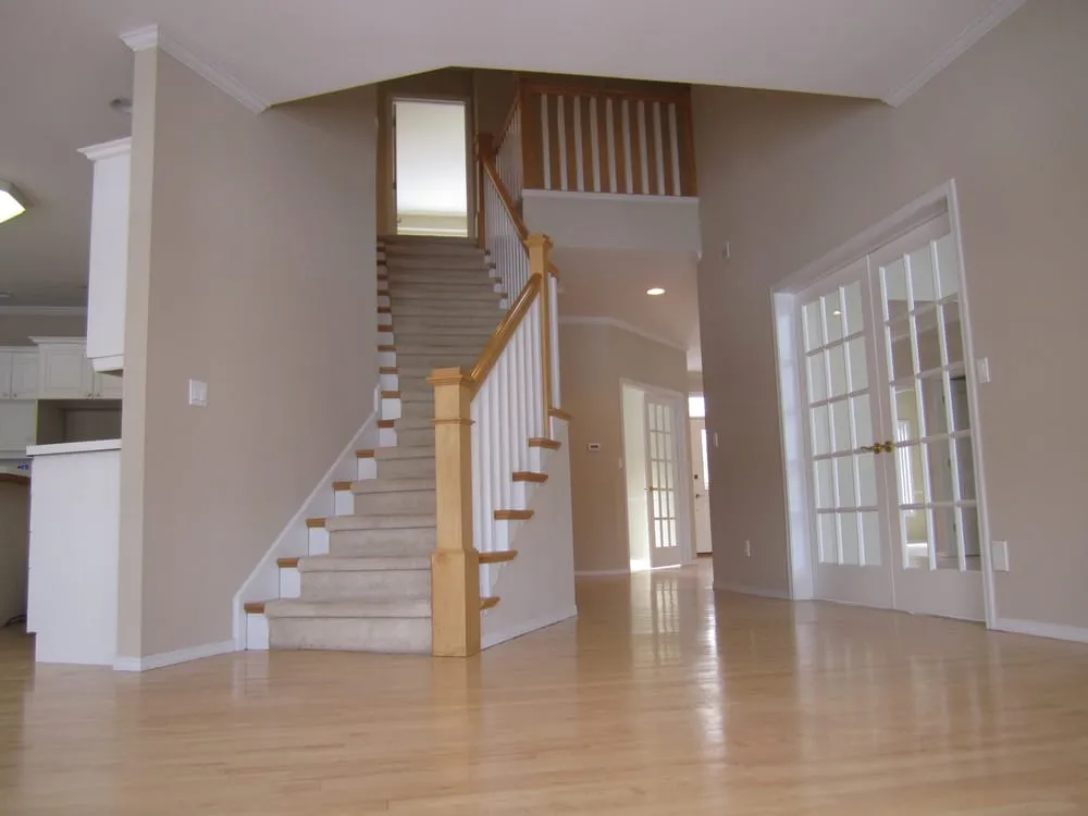 Slide of Vivid Solutions