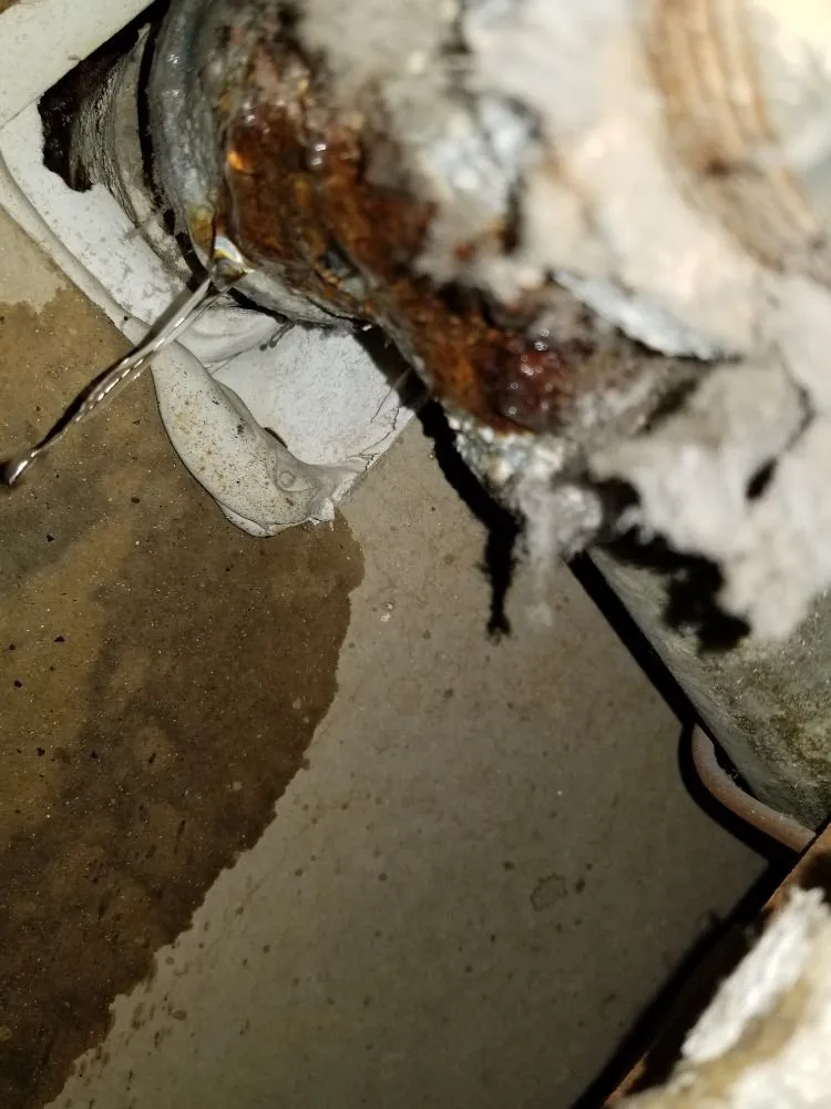 Slide of VIZCOM CONTRACTING