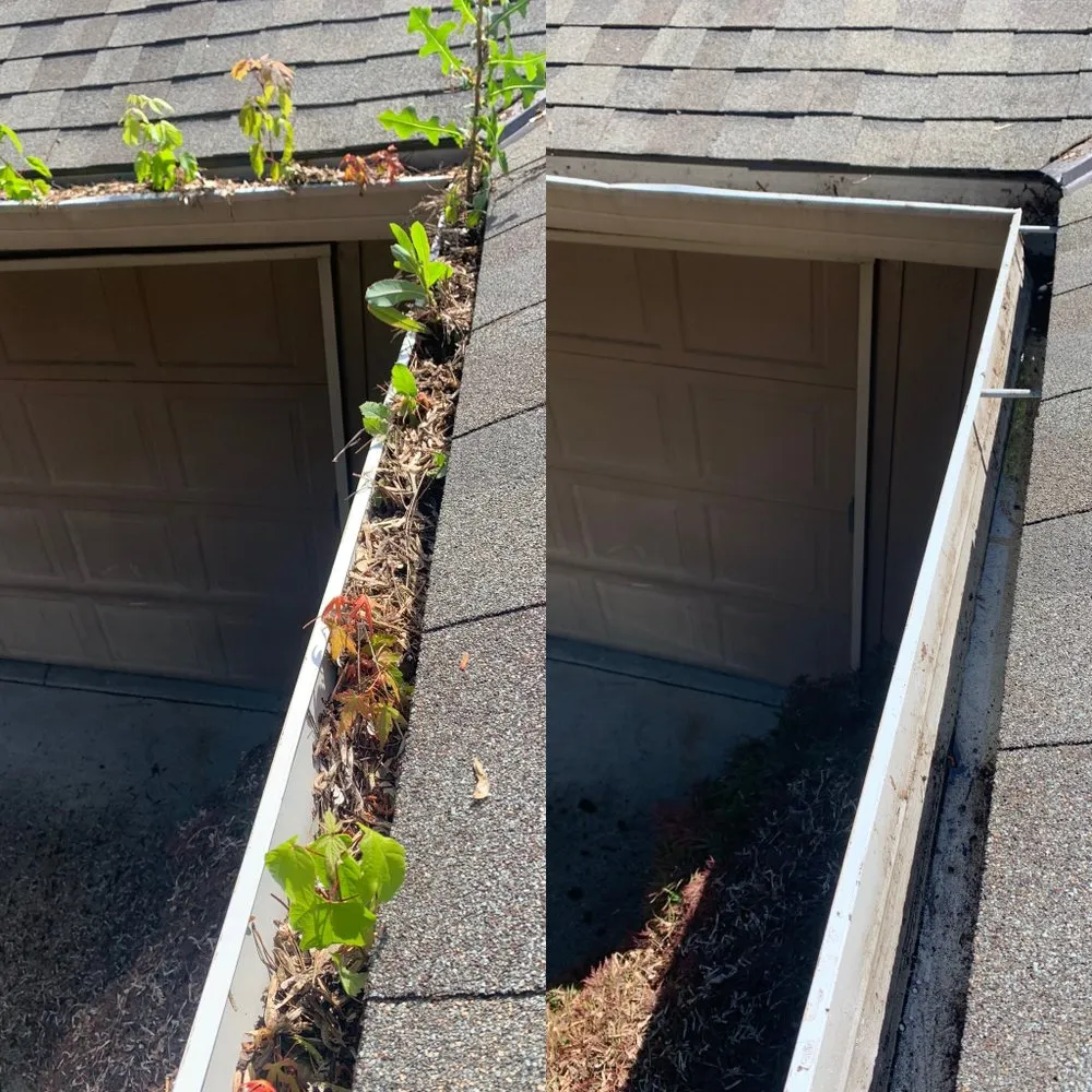 Slide of Vizible Maintenance