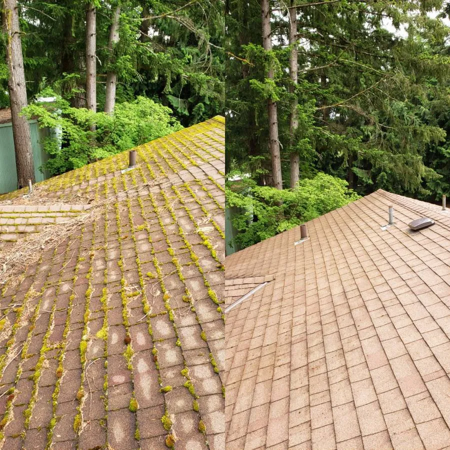 Slide of Vizible Maintenance